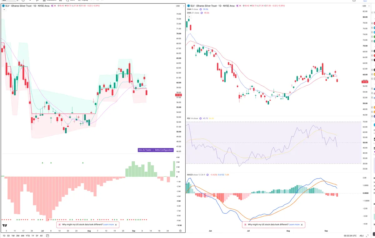 SLV — Delta + Technical