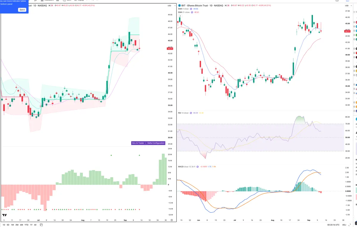 IBIT — Delta + Technical