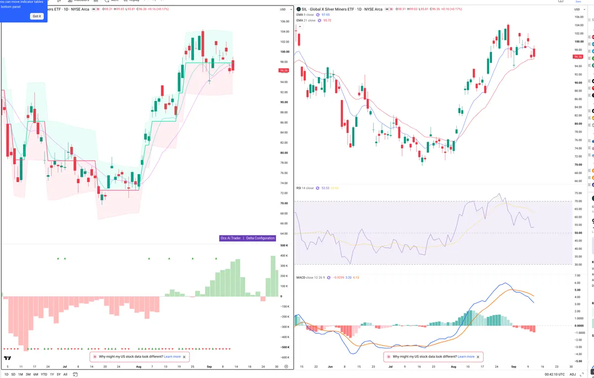 SIL — Delta + Technical