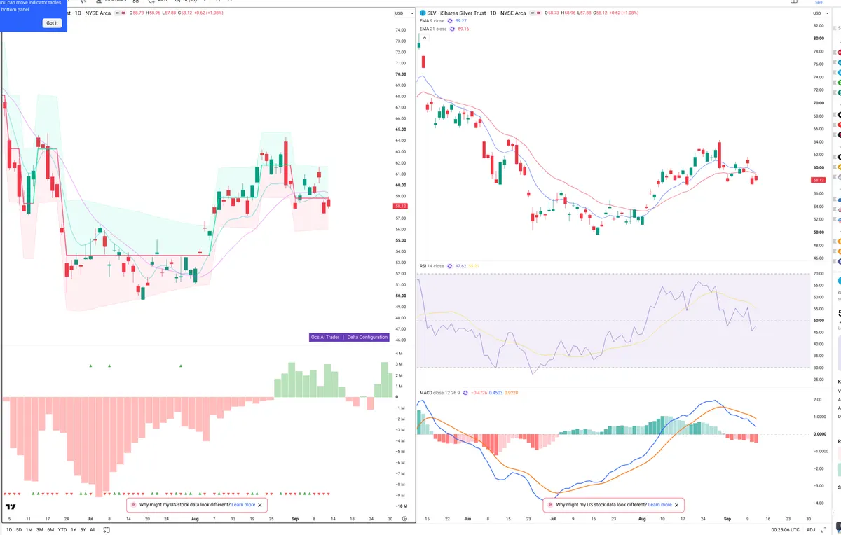 SLV — Delta + Technical