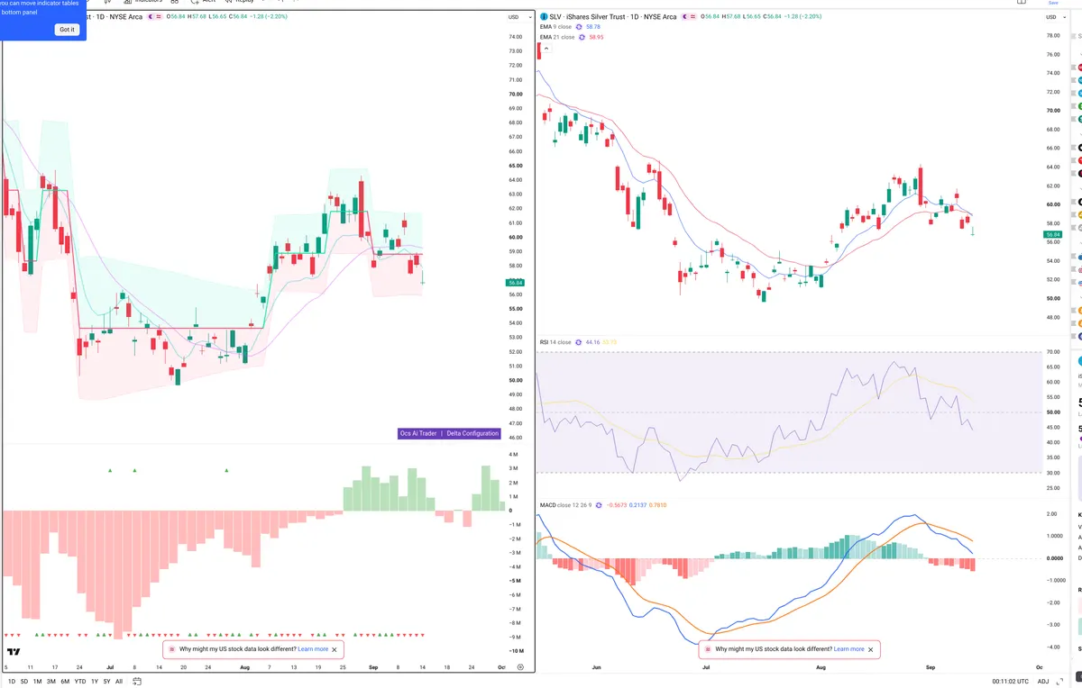 SLV — Delta + Technical