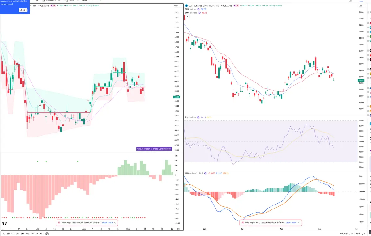 SLV — Delta + Technical