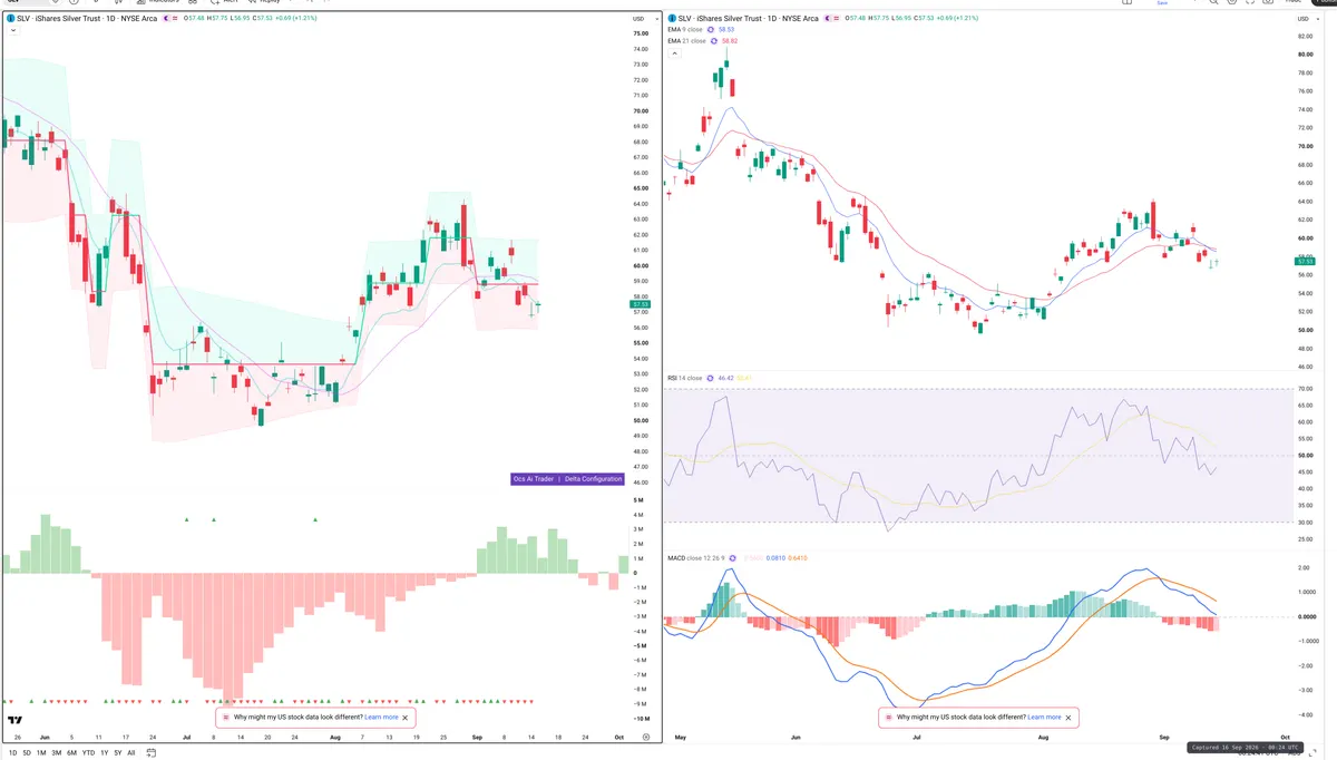 SLV — Delta + Technical