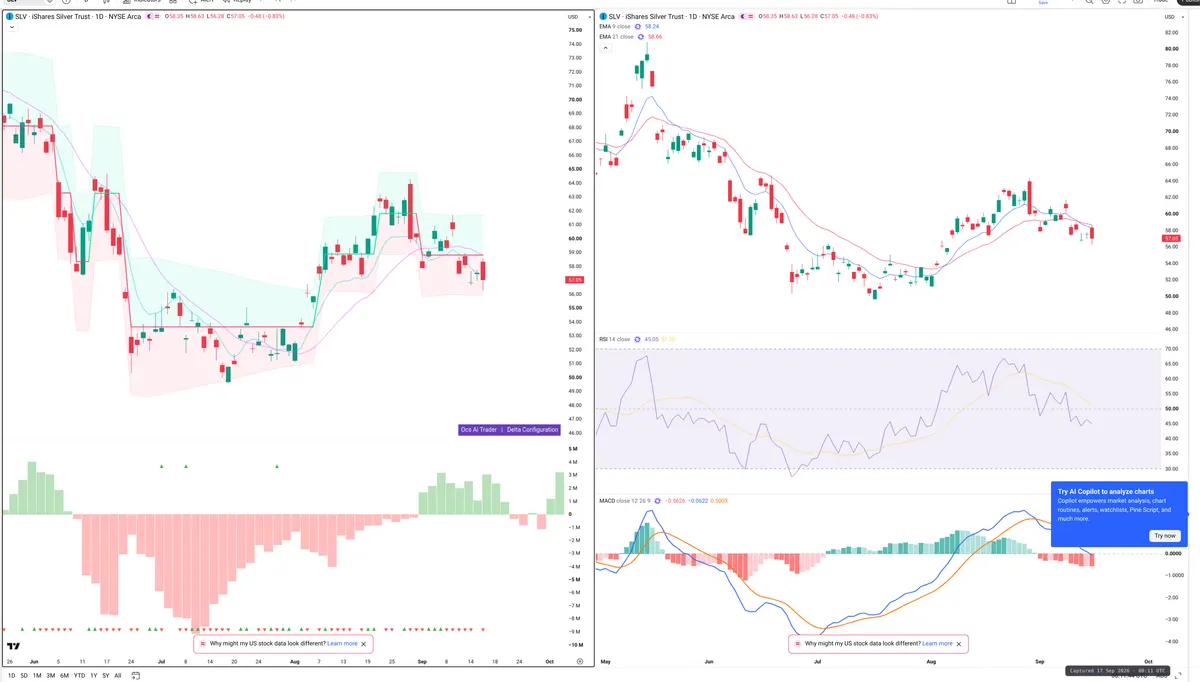 SLV — Delta + Technical