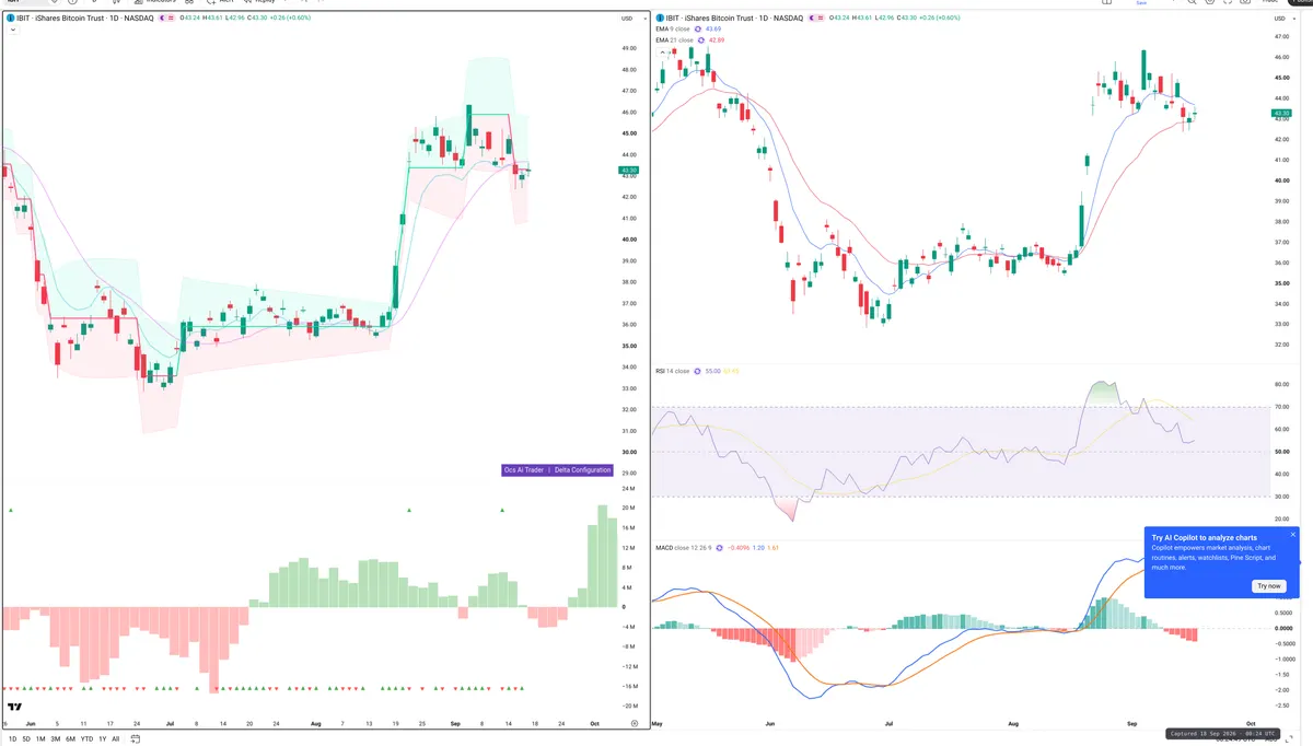 IBIT — Delta + Technical