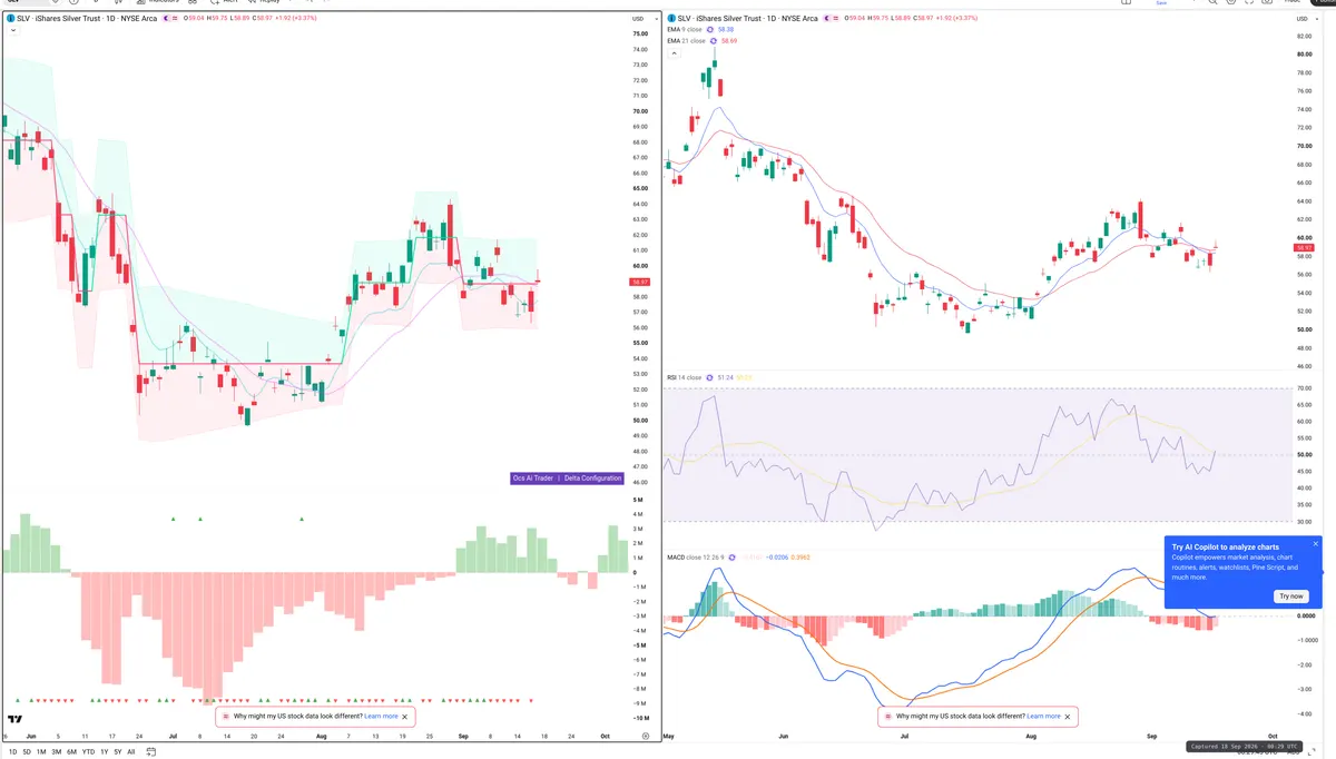 SLV — Delta + Technical