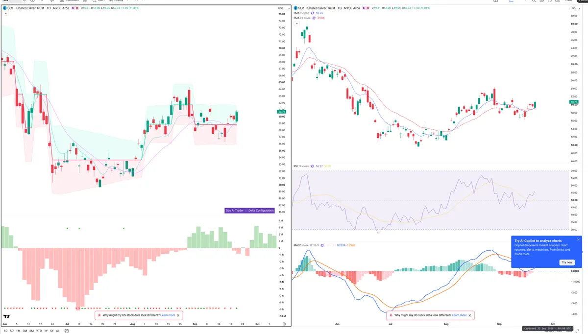 SLV — Delta + Technical