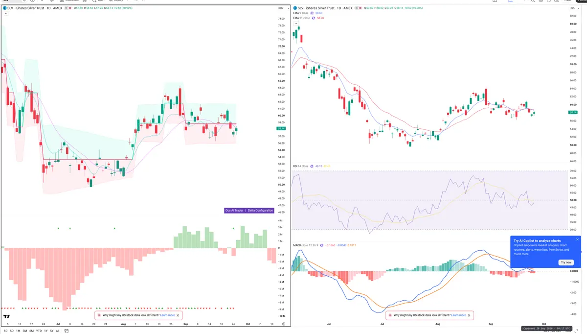SLV — Delta + Technical