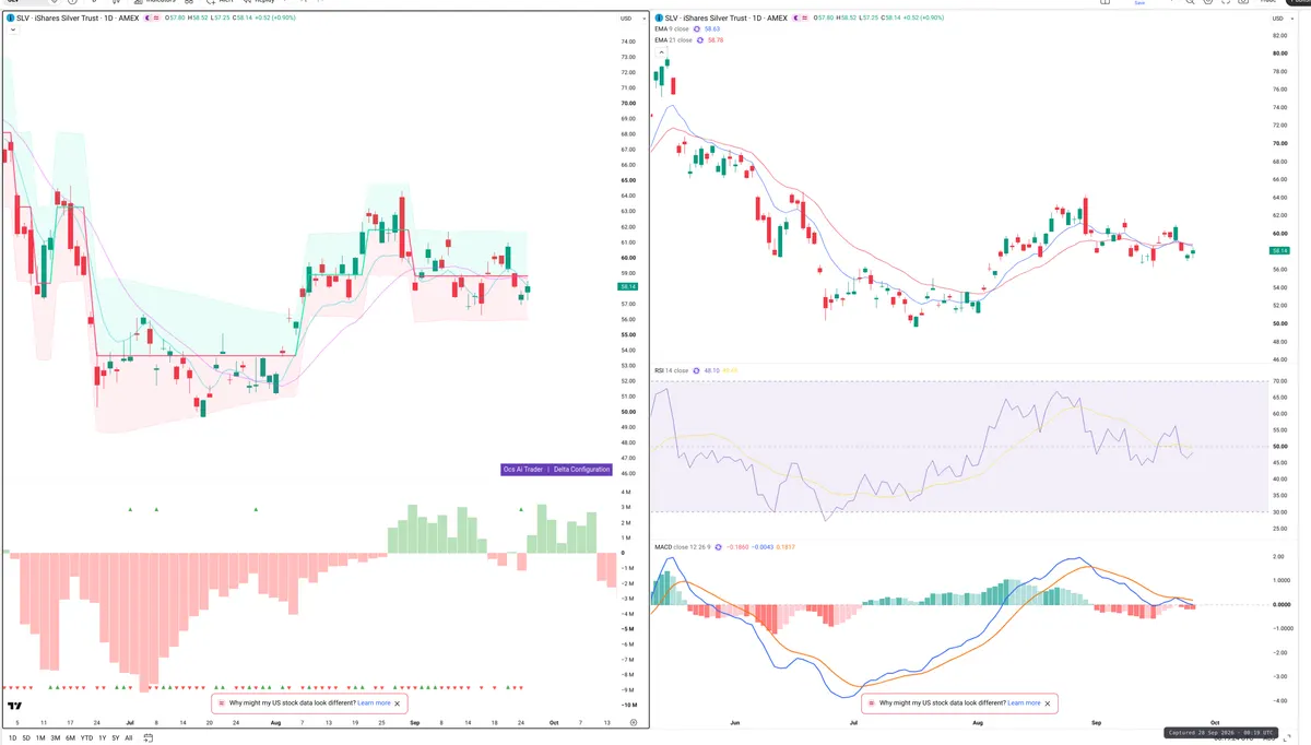 SLV — Delta + Technical