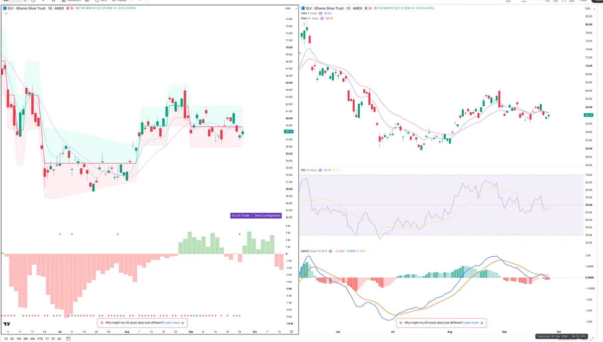 SLV — Delta + Technical