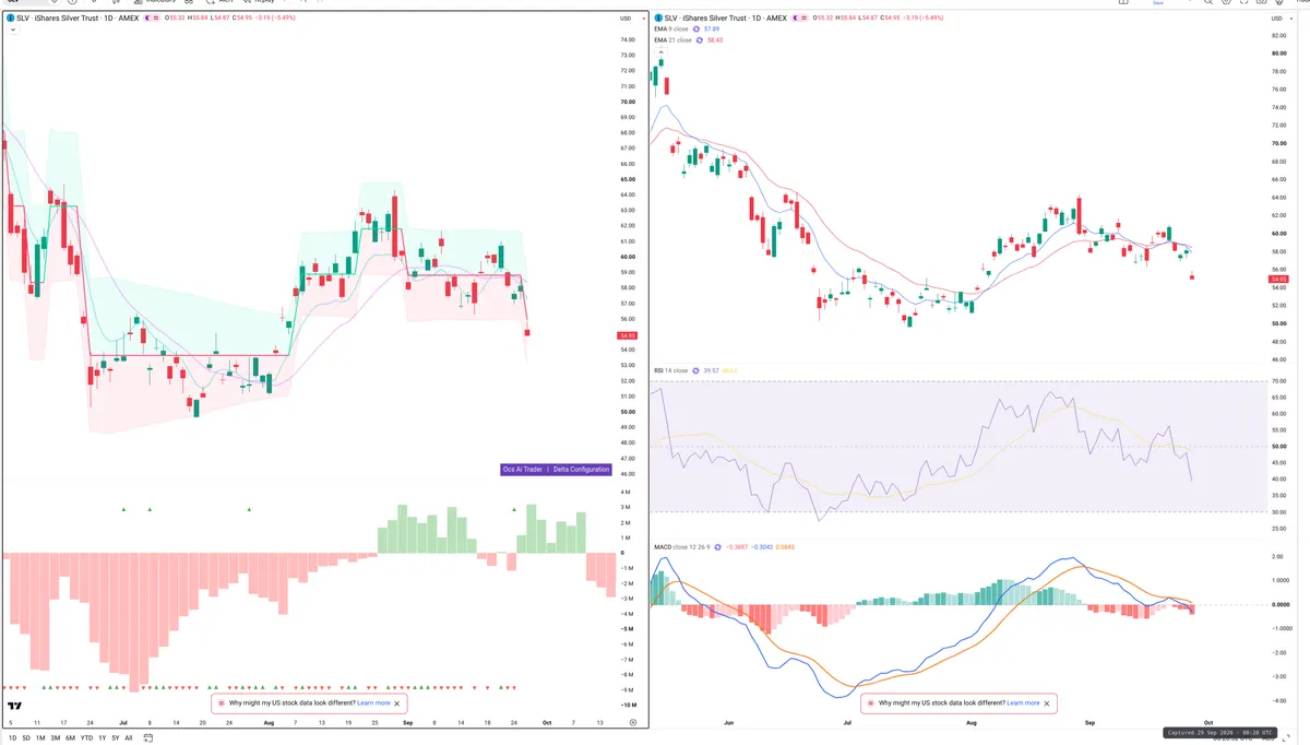 SLV — Delta + Technical