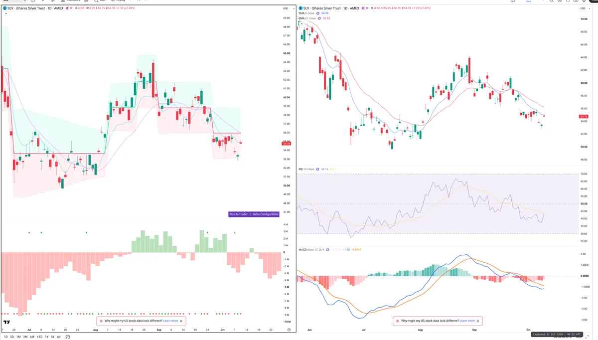 SLV — Delta + Technical
