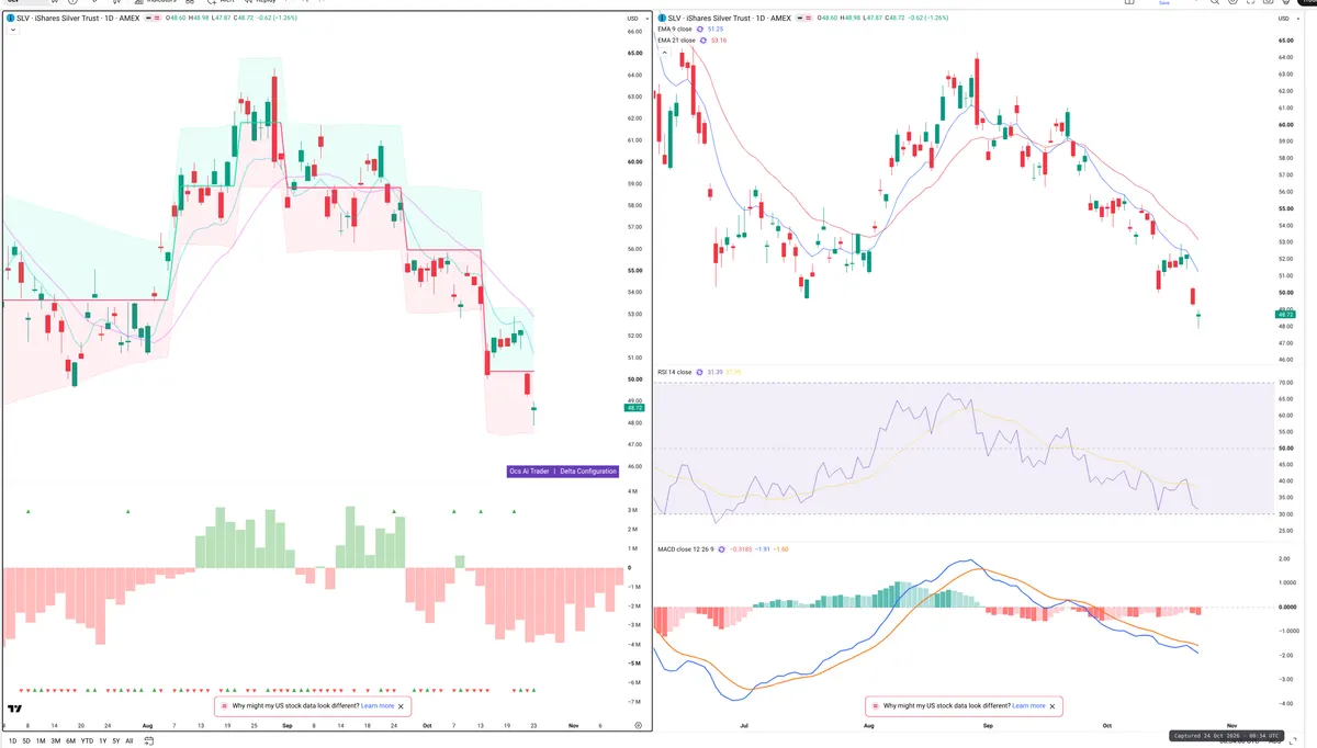 SLV — Delta + Technical