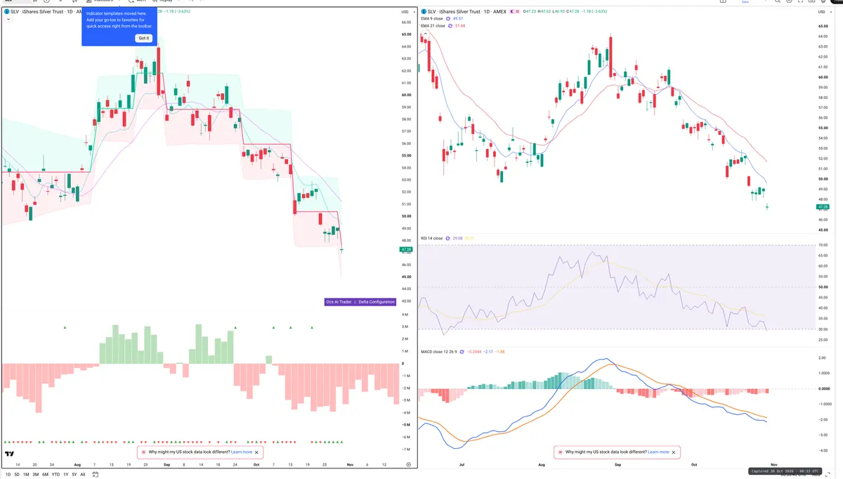 SLV — Delta + Technical